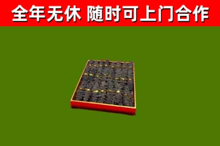 阳山烟酒回收海参.jpg